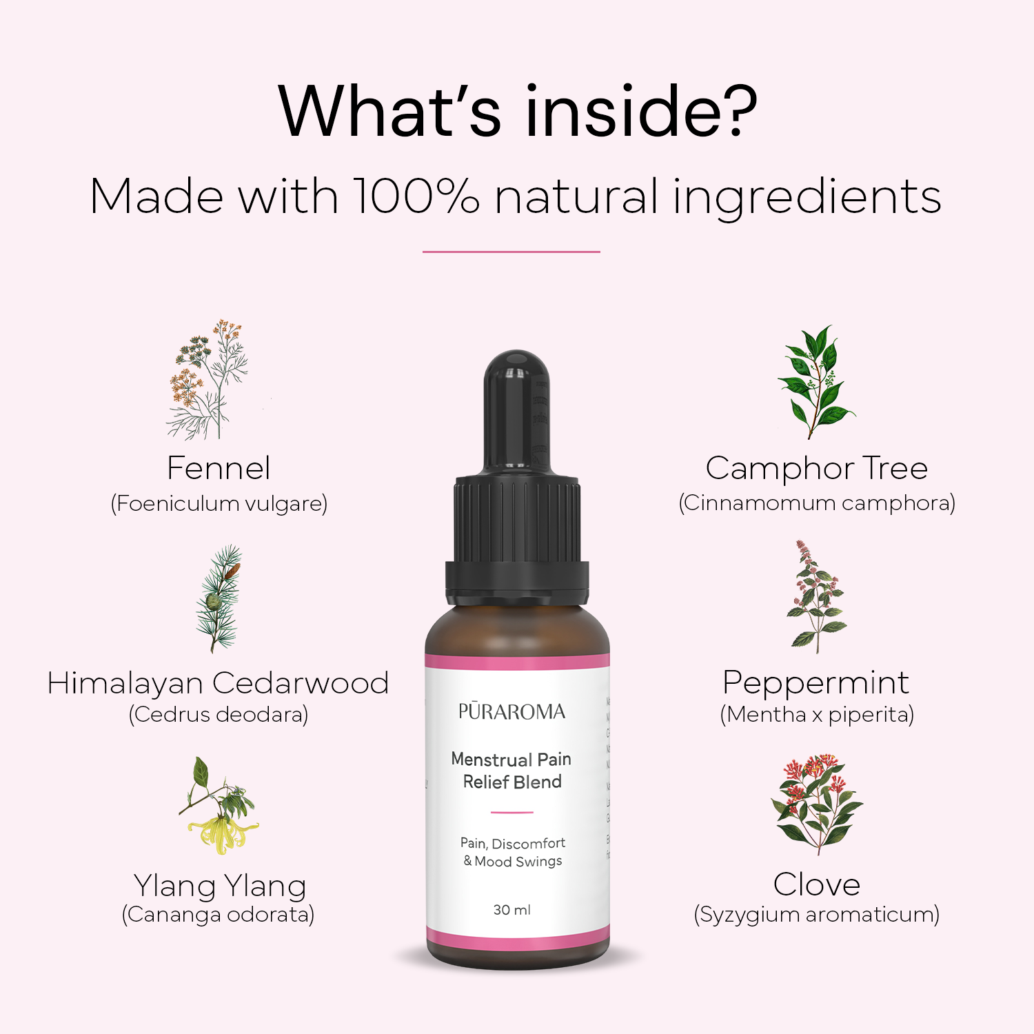 Puraroma Menstrual Pain Relief Blend